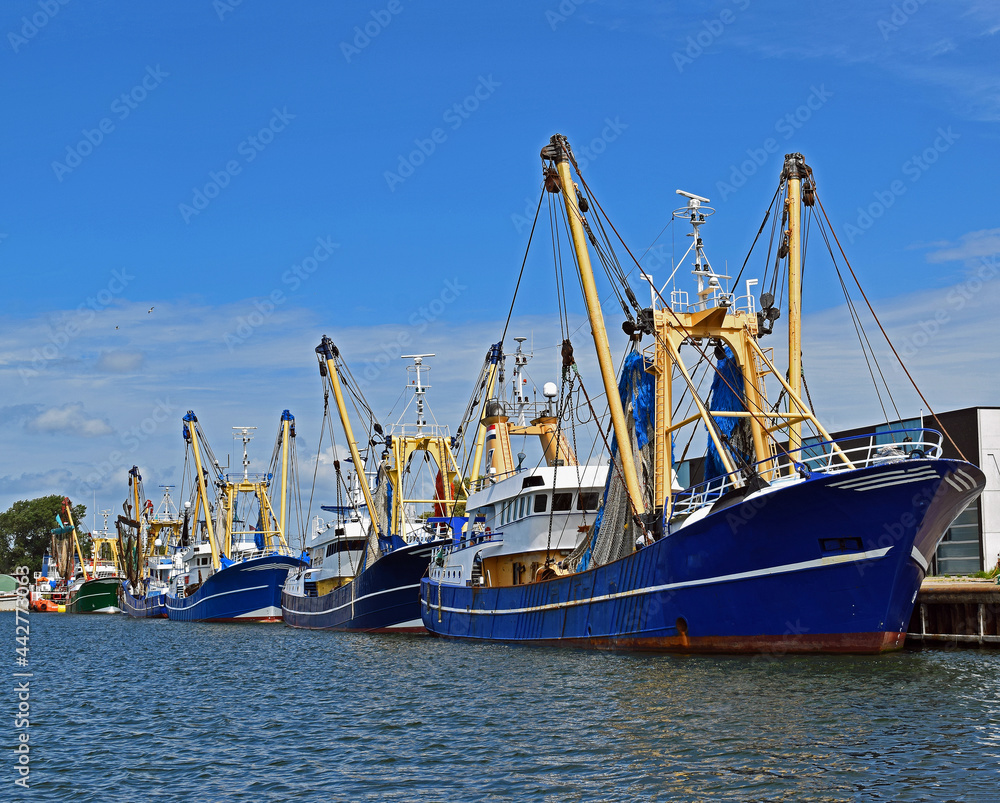 Beautiful blue Dutch fishing vessels Beautiful blue Dutch fishing vessels