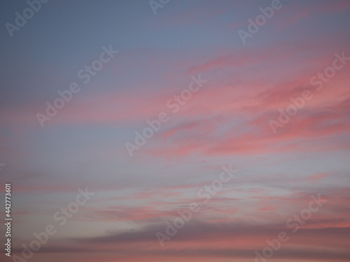 Beautiful evening summer sky at sunset with gentle pink clouds