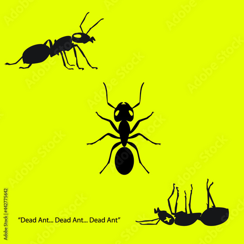 three ants: top view, side view, dead view. illustration vector. © Mirror-images