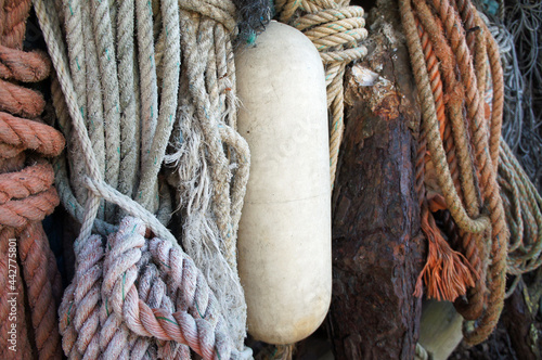 Old fishing ropes and buoy