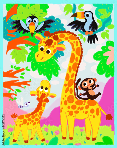 Fototapeta Naklejka Na Ścianę i Meble -  giraffes