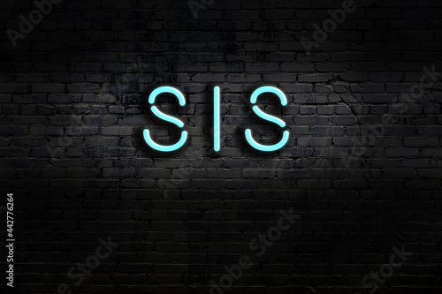 Night view of neon sign on brick wall with inscription sis