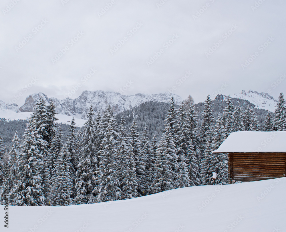 Fototapeta premium Background with snowy pine trees and a wooden cabin