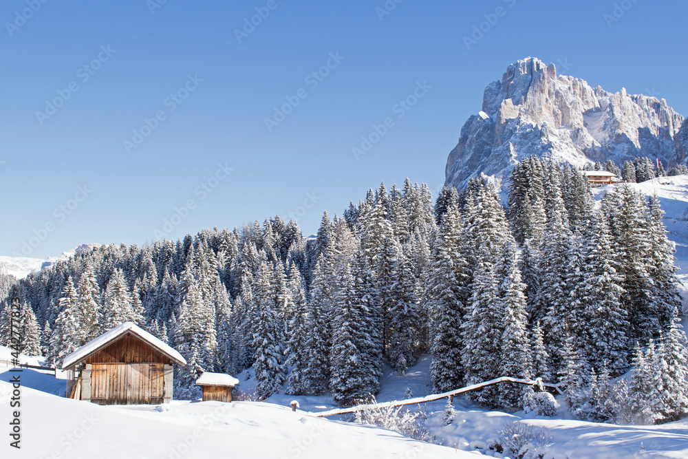 Wooden chalets on a snowy ski slope, Seiseralm Wooden chalets on a snowy ski slope, Seiseralm