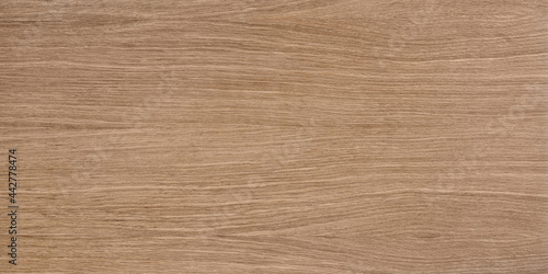 wood texture background oak beech ash