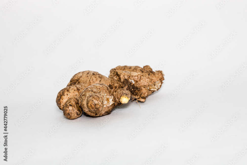 Garlic isolated in white Garlic isolated in white