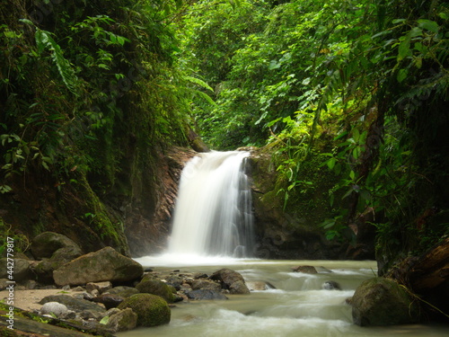 Slow motion of waterfall and river in forest Podocarpus National Park  Ecuador