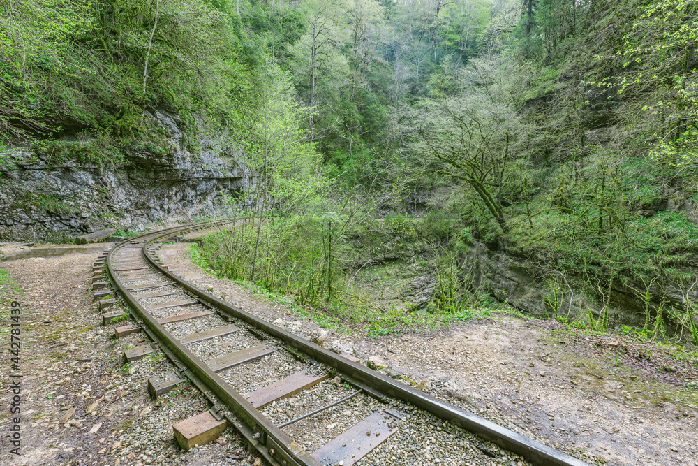 Fototapeta premium Narrow gauge railway in the deep narrow Guam canyon. Western Caucasus.