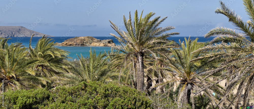 Fototapeta premium PLAŻA Z PALMAMI. PLAŻA VAI NA WYSPIE KRETA, GRECJA. 