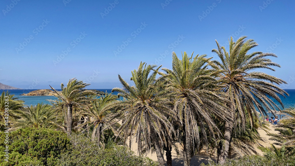 PLAŻA Z PALMAMI. PLAŻA VAI NA WYSPIE KRETA, GRECJA. 