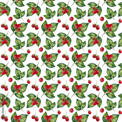Watercolor seamless pattern with raspberry on white background. Hand-painted.
