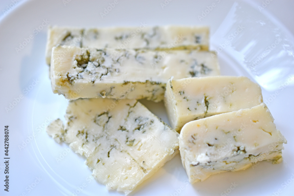 White cheese with blue mold on a plate