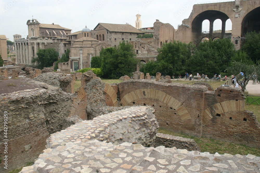Roman Ruins in the Roman Forum in Rome Italy showing the Architecture of Roman Engineers