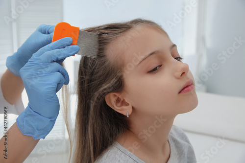 Doctor using nit comb on girl's hair in clinic. Anti lice treatment photo