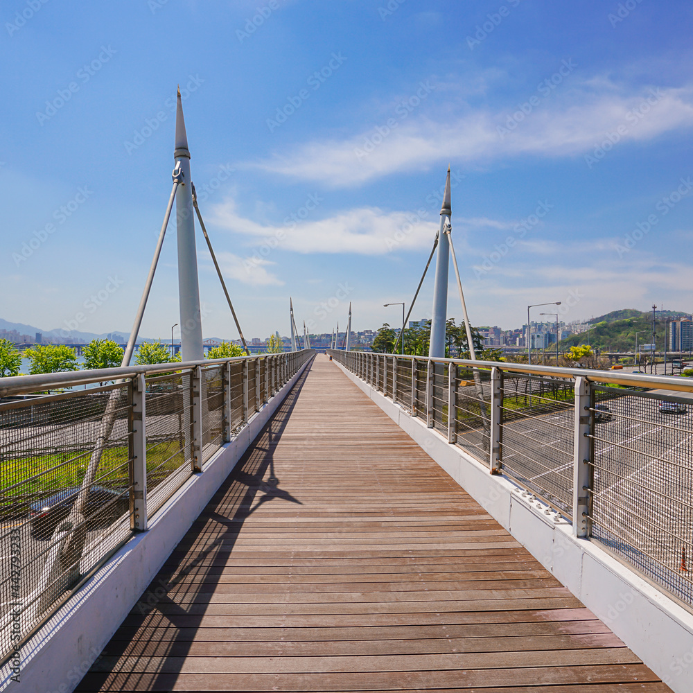 Scenic metal pedestrian bridge in summer day