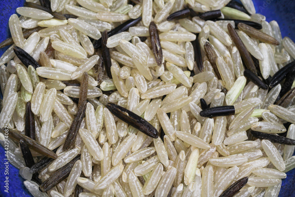 Macro closeup of raw isolated long grain wild and healthy brown black wholemeal rice in blue bowl Macro closeup of raw isolated long grain wild and healthy brown black wholemeal rice in blue bowl
