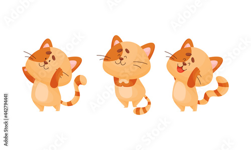 Cartoon Cat with Striped Tail Standing in Yoga Pose Vector Set