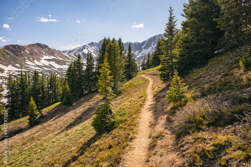 Hiking Trail in the Rocky Mountains, Colorado