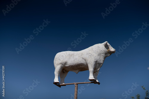 A ranching sign depicting a large bull on a roadtrip through Arizona photo