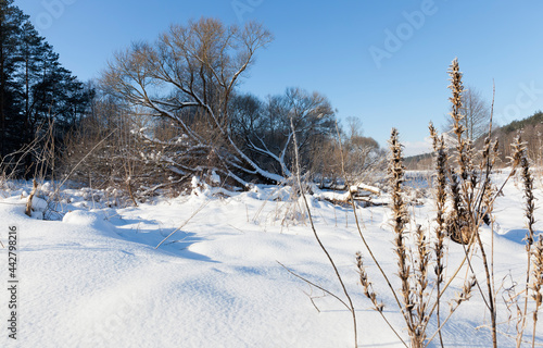 snow and ice covered grass