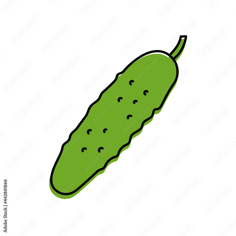 Cucumber. Vegetable sketch. Color simple icon. Hand drawn vector doodle illustration Cucumber. Vegetable sketch. Color simple icon. Hand drawn vector doodle illustration