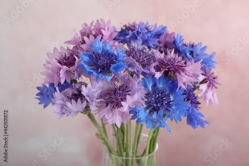 Bouquet of beautiful cornflowers in glass vase against pink background, closeup