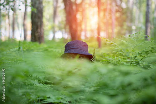 Foto A tourist man in the hat is hiding in a thicket of ferns.