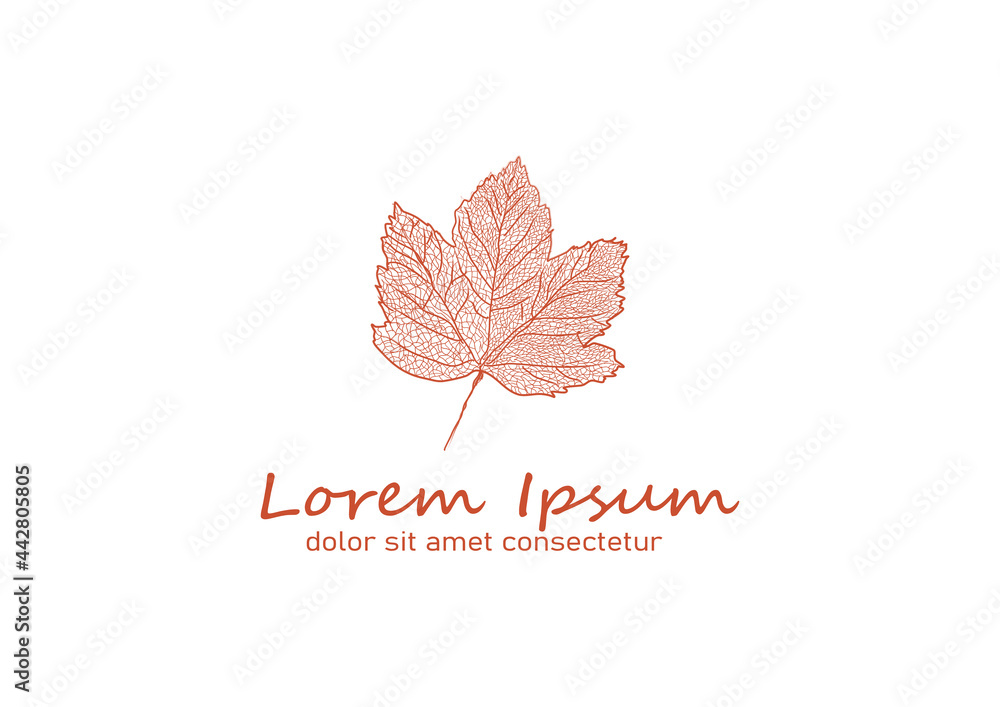 Naklejka premium Logo liść klonu