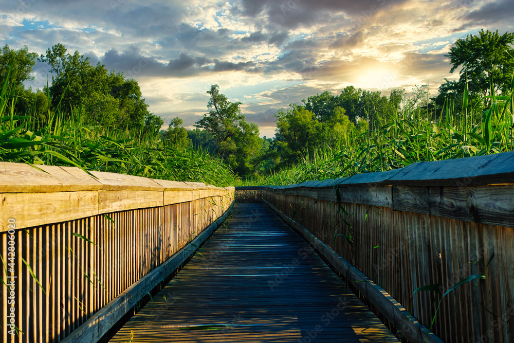 wooden bridge over the river