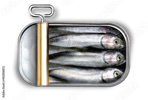can of sardines photo