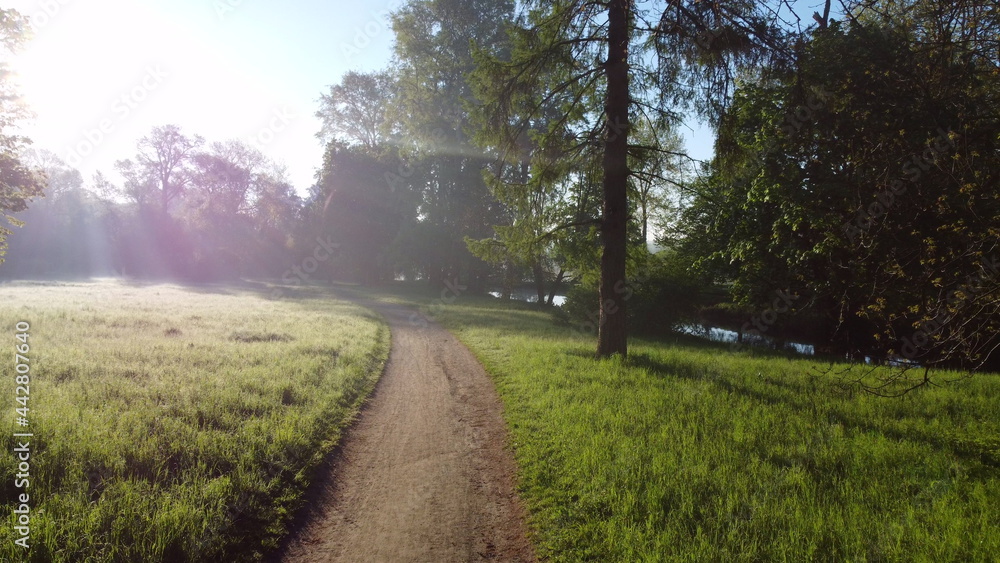 Aerial drone view flight over dirt path in park in early morning Aerial drone view flight over dirt path in park in early morning
