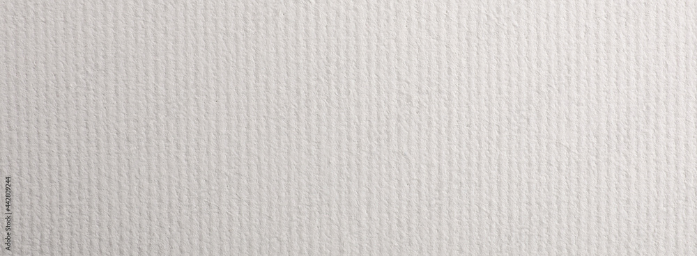 Blank white canvas as background. Horizontal banner design Blank white canvas as background. Horizontal banner design