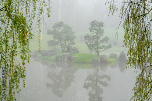 Fog in Japanese Garden