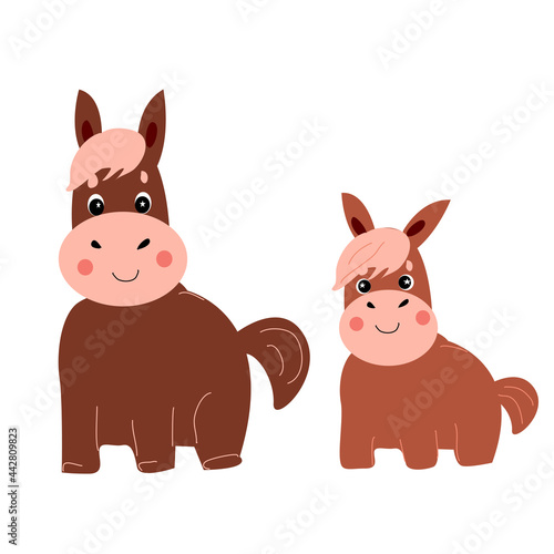 Horse and foal on a white background.
