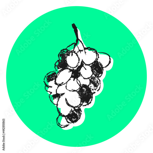 Bunch grape circle sign in vector for homemade wine logo, winemaking banner, label of organic wines, wine tasting poster. Wine-themed vector illustration. Monochrome hand-drawn grape. Ink doodle icon.