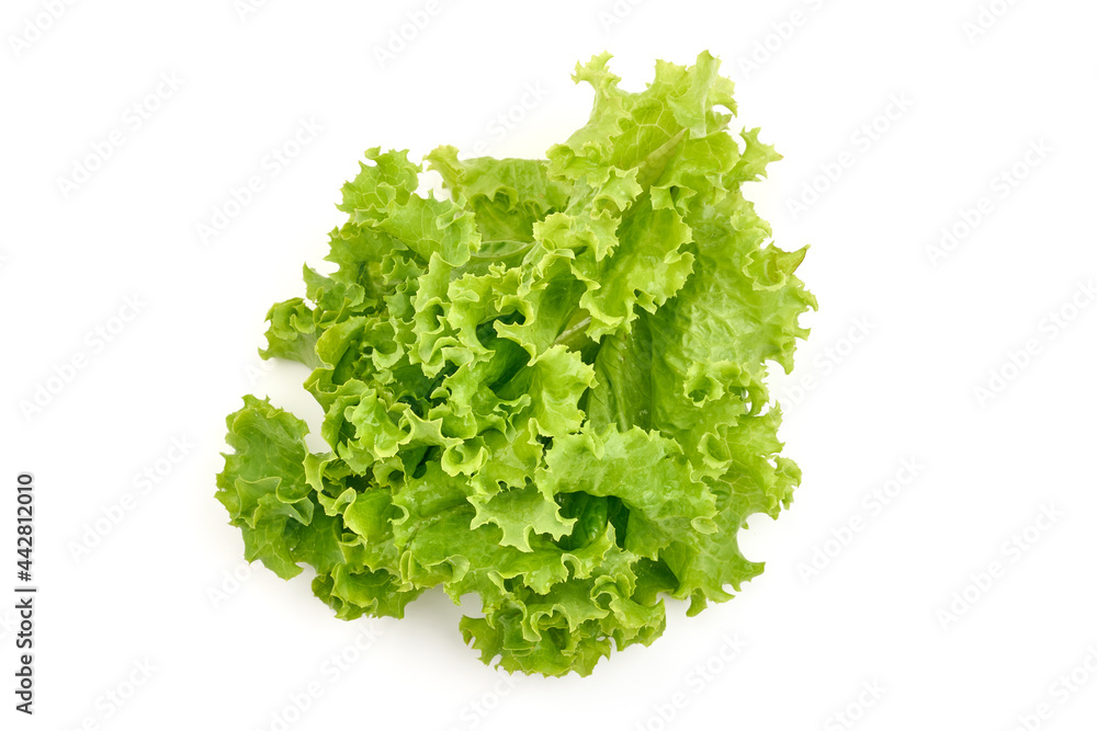 Salad leaf. Lettuce, isolated on white background. High resolution image. Salad leaf. Lettuce, isolated on white background. High resolution image.