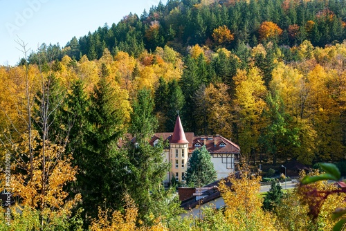 beautiful sunny autumn against a blue sky .  photo