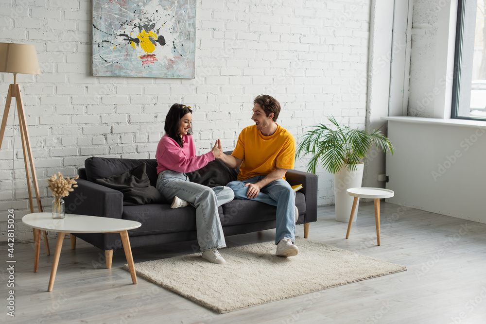 playful young couple sitting on couch and touching with hands in living room playful young couple sitting on couch and touching with hands in living room