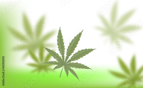 CBD preparates and cannabis leaves in realistic style. Use it for medical advertisement poster design creation. Vector illustration.