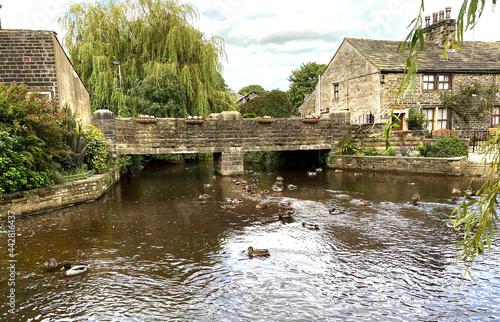 Принти на полотні Rural scene, with old stone cottages, with ducks on Silsden Beck, Yorkshire, UK