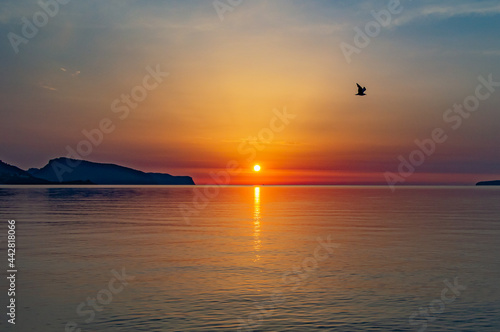 Special Sunrise at Pollença bay- bird flying over mediterranean sea- Orange sky- Colorful sky- Calm water- meditation time © Aina