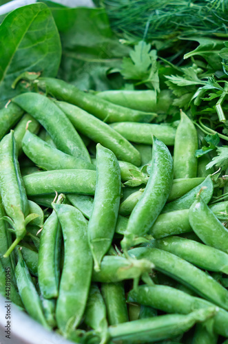 Fresh green peas for cooking in a peel in a bowl
