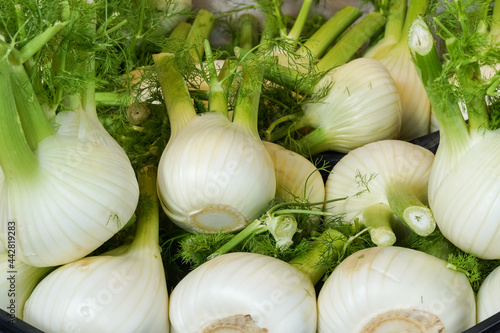 Florence fennel bulbs for sale at food stall