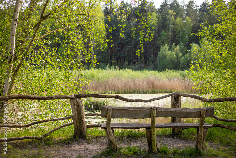 Holzbank im Wald mit Seeblick Holzbank im Wald mit Seeblick