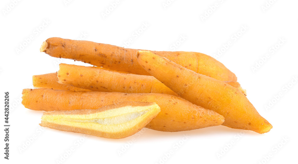 finger root (Krachai) Thai herb isolated on white background