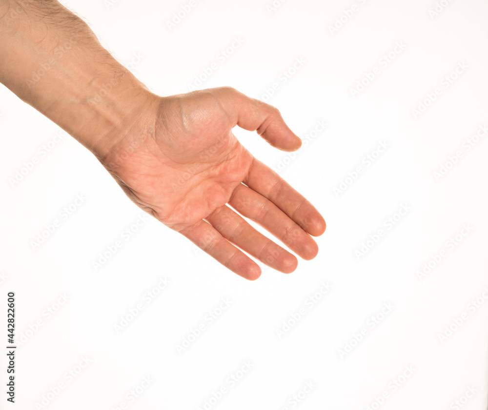 Hand Gesture and Position White Background Caucasian Middle Age Man Photograph Set Hand Gesture and Position White Background Caucasian Middle Age Man Photograph Set