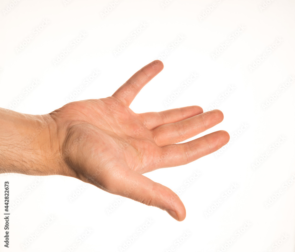 Hand Gesture and Position White Background Caucasian Middle Age Man Photograph Set Hand Gesture and Position White Background Caucasian Middle Age Man Photograph Set