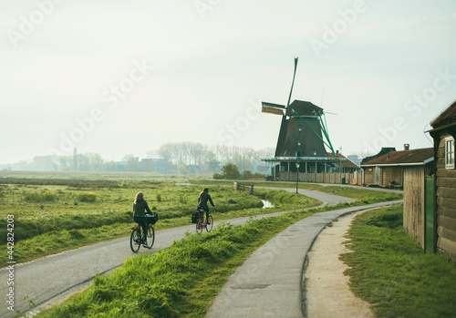 Two girls on bicycles ride to work near windmills in Holland, road and green fields