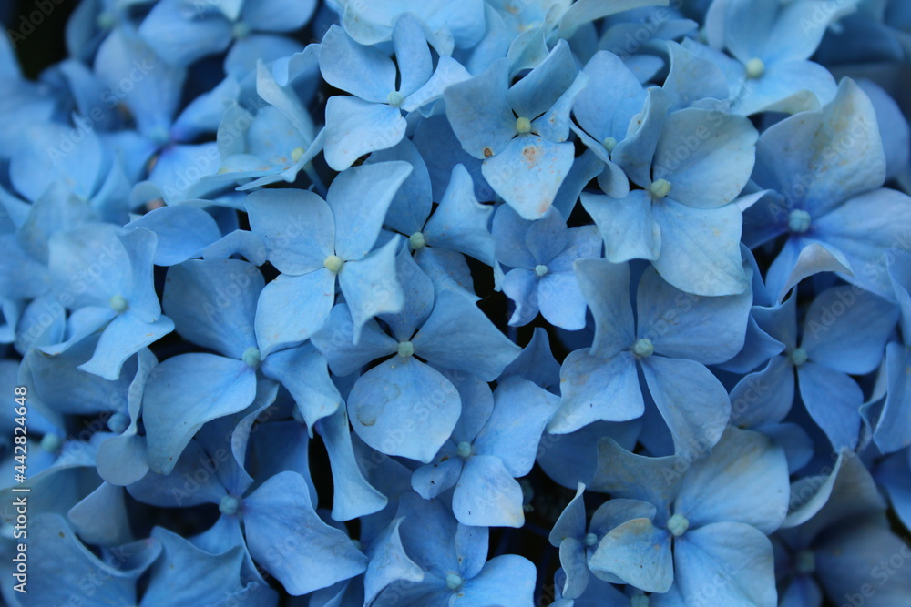 blue background blue background