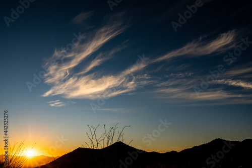Phoenix Like Cloud Over Ocatillo At Sunet photo